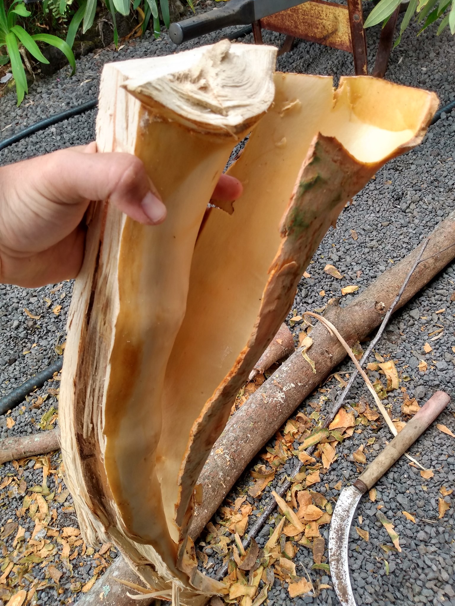 122日目:友人と食と農作業