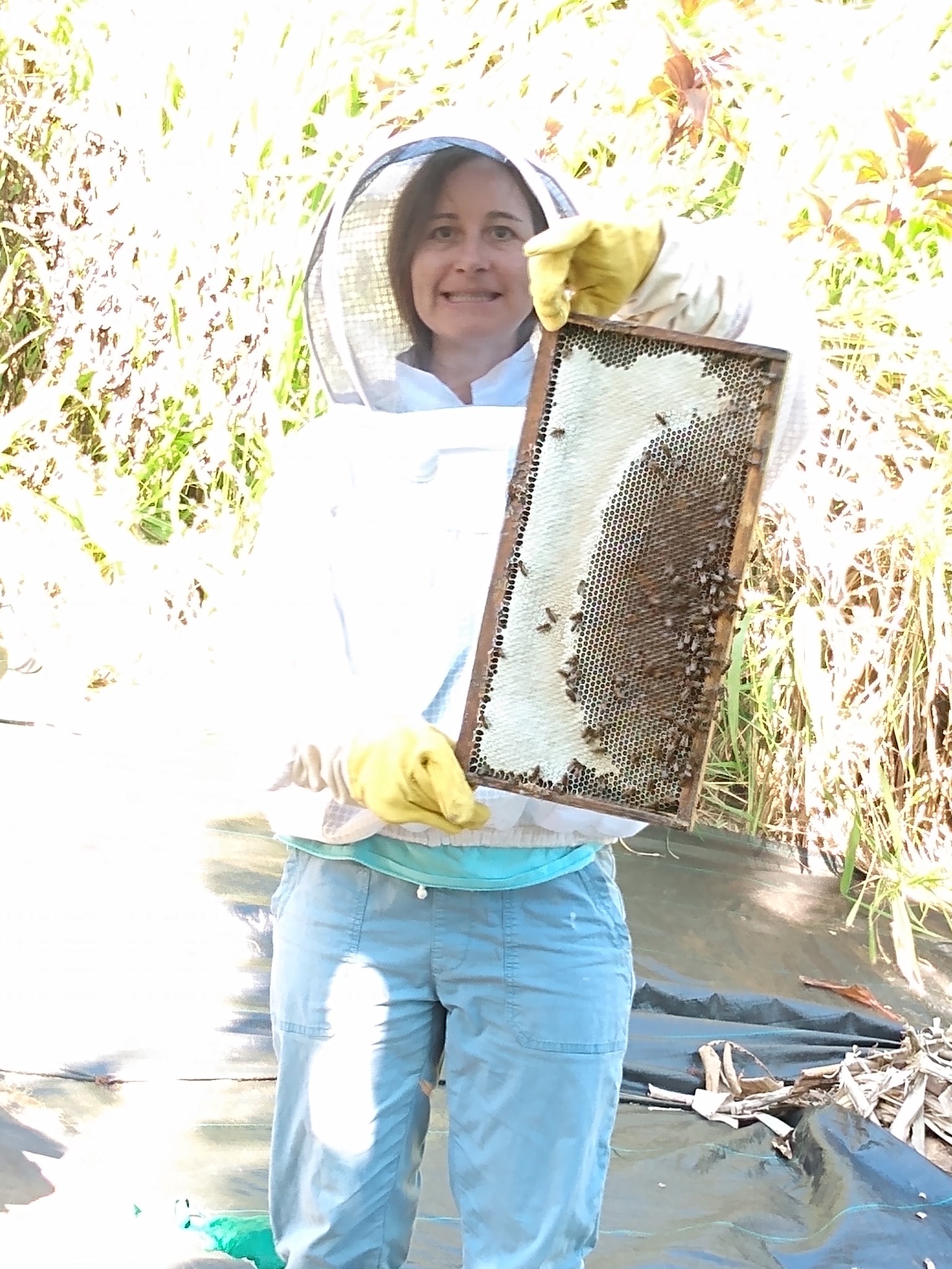 Day 164: This morning Julia opened up the bee hive to check it out for the first time. Sh