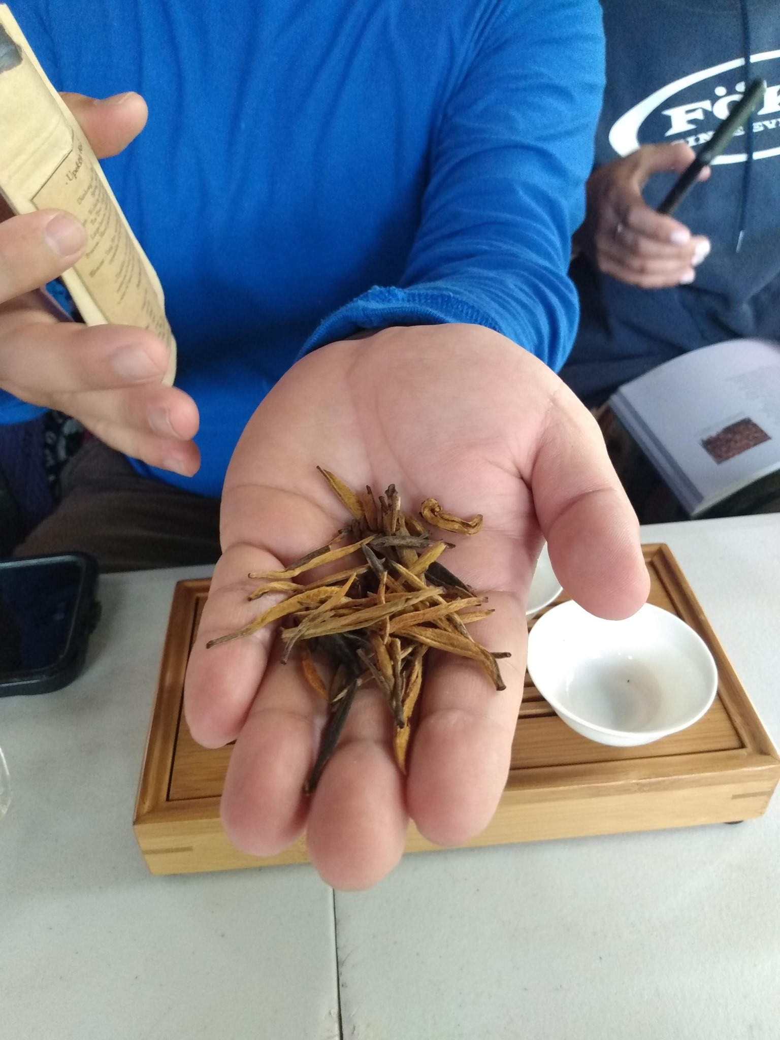 223日目:茶の木を植えた