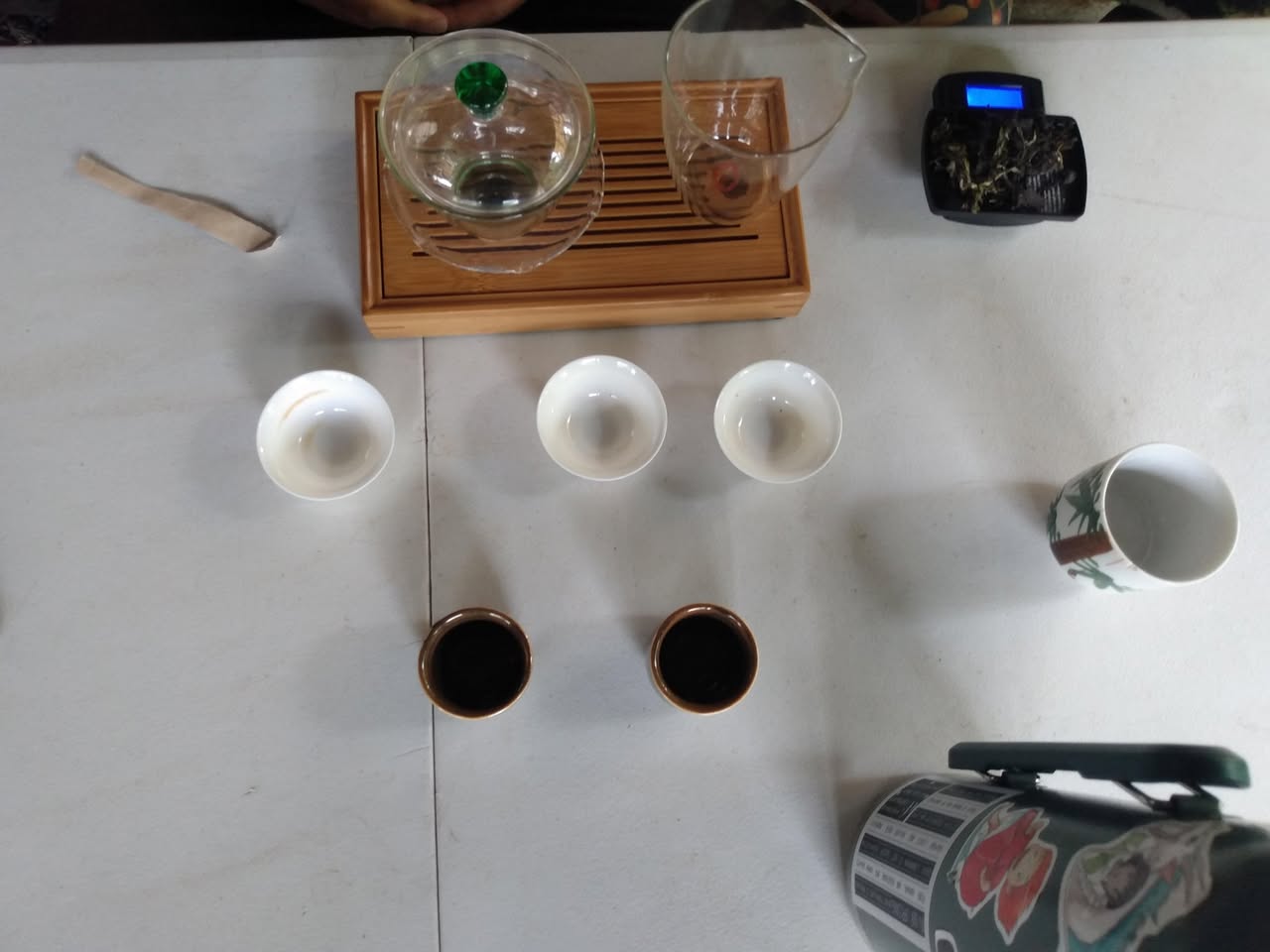 223日目:茶の木を植えた
