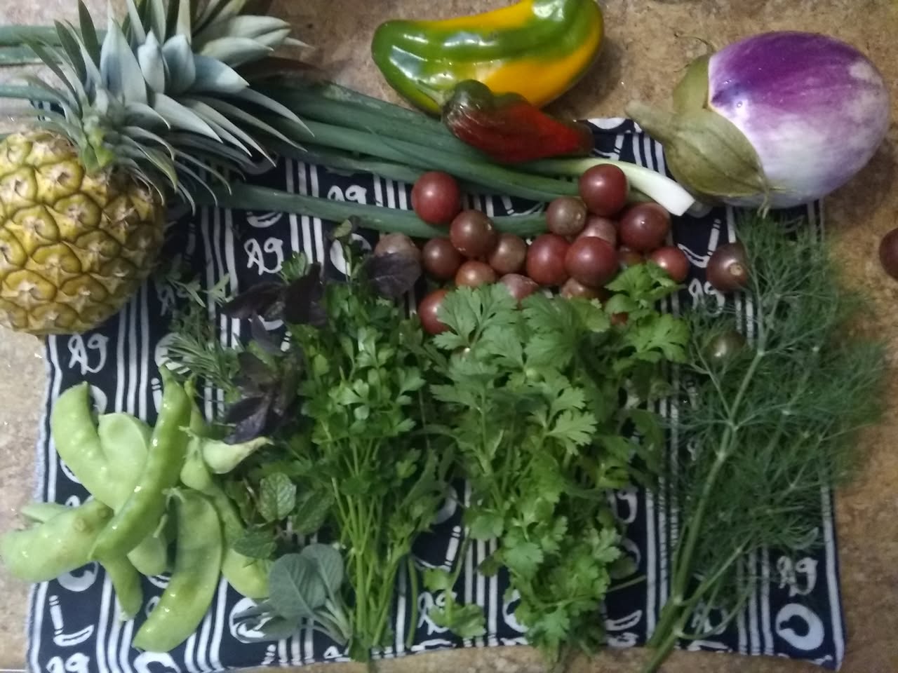 24日目:'uluを植えた