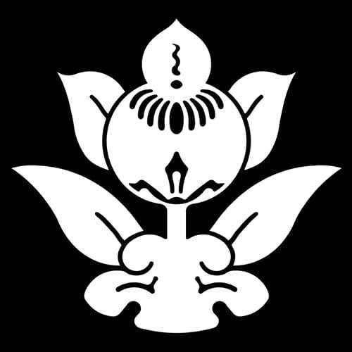 278日目:タチバナを植えた