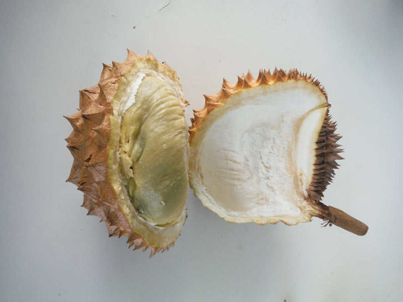 Day 7: I planted a seedling durian tree. Not sure what kine but I bet it was one of the