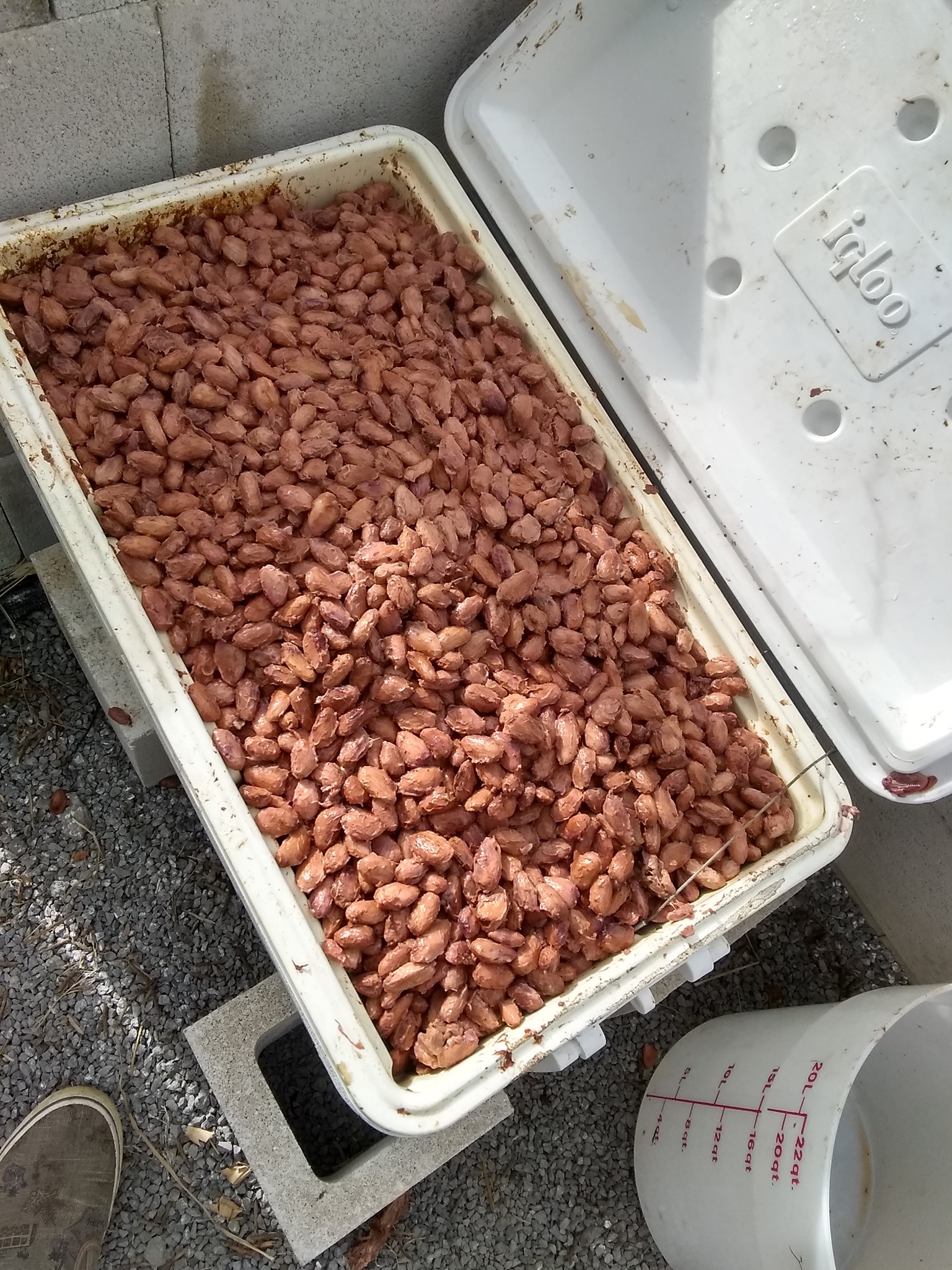 92日目:乾燥ラックを作った